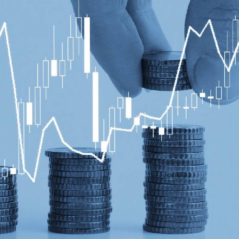 About Finance Market Fund